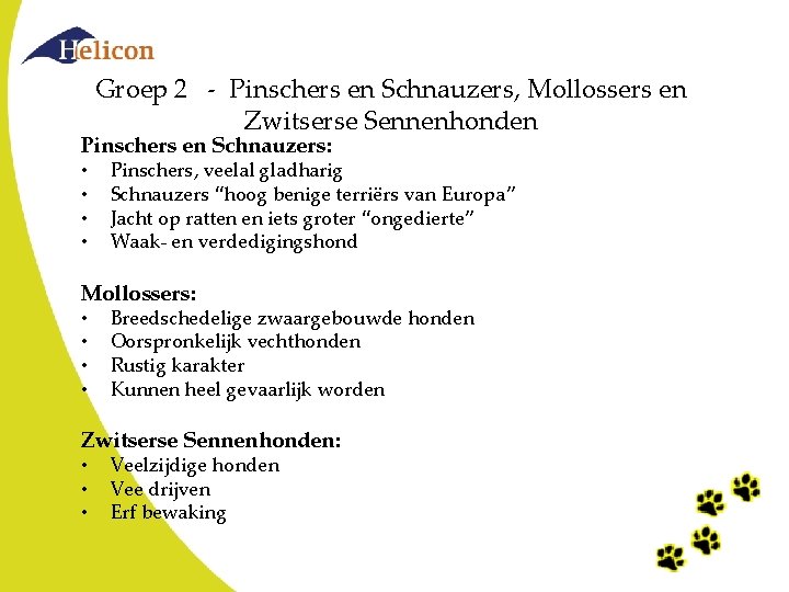 Groep 2 - Pinschers en Schnauzers, Mollossers en Zwitserse Sennenhonden Pinschers en Schnauzers: • Groep 2 - Pinschers en Schnauzers, Mollossers en Zwitserse Sennenhonden Pinschers en Schnauzers: •