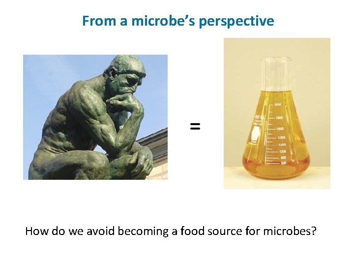 From a microbe’s perspective = How do we avoid becoming a food source for