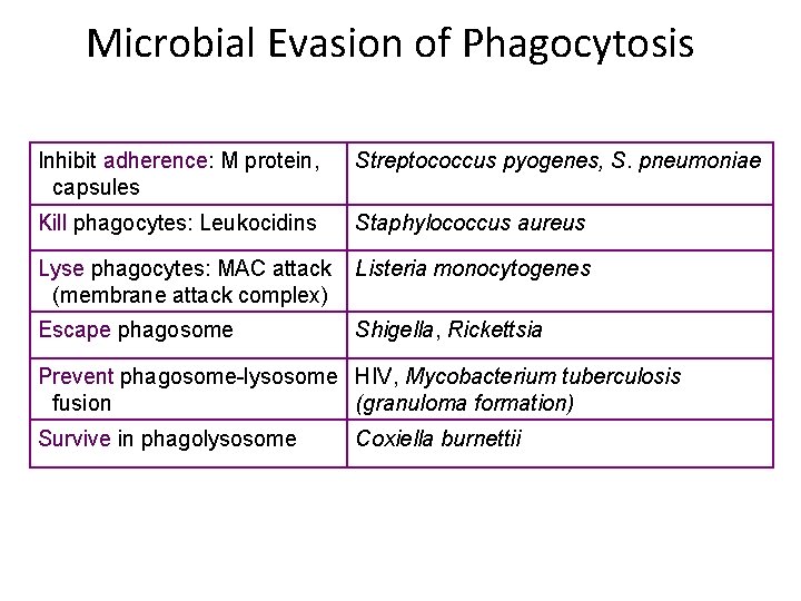 Microbial Evasion of Phagocytosis Inhibit adherence: M protein, capsules Streptococcus pyogenes, S. pneumoniae Kill