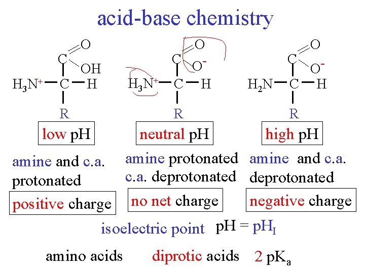 acid-base chemistry C H 3 N+ O OH C H R C H 32