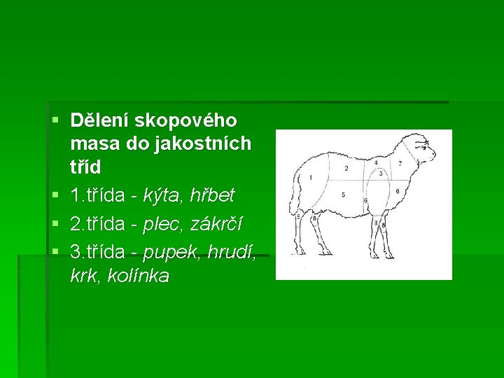 § Dělení skopového masa do jakostních tříd § 1. třída - kýta, hřbet §