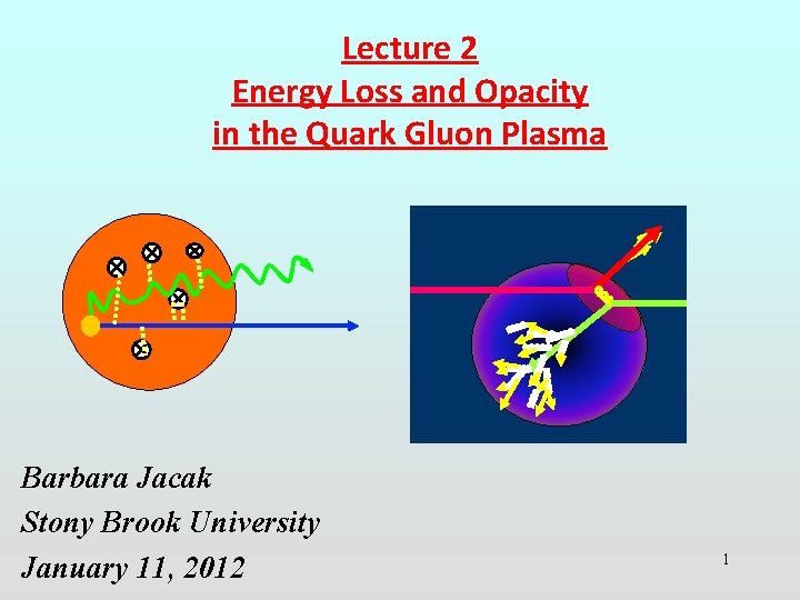Lecture 2 Energy Loss and Opacity in the Quark Gluon Plasma Barbara Jacak Stony