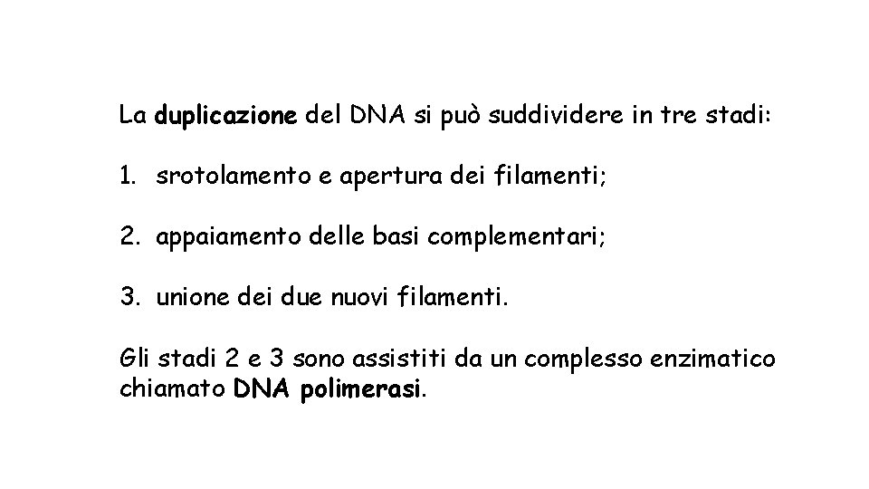 La duplicazione del DNA si può suddividere in tre stadi: 1. srotolamento e apertura