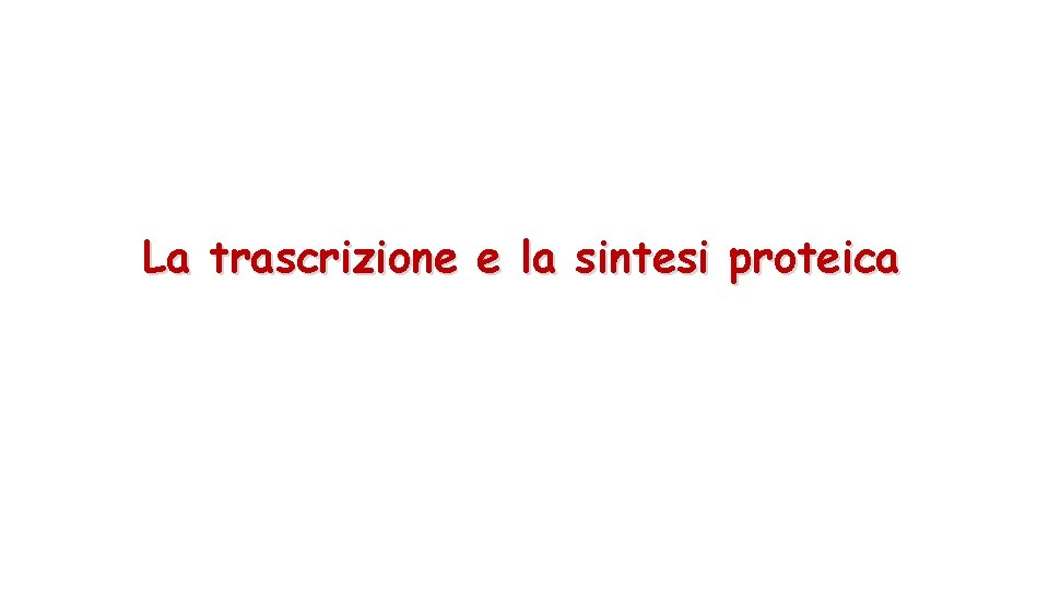 La trascrizione e la sintesi proteica 