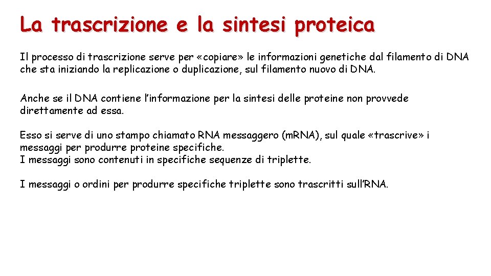La trascrizione e la sintesi proteica Il processo di trascrizione serve per «copiare» le