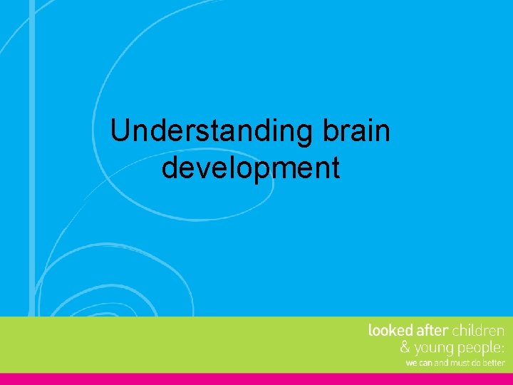 Understanding brain development 