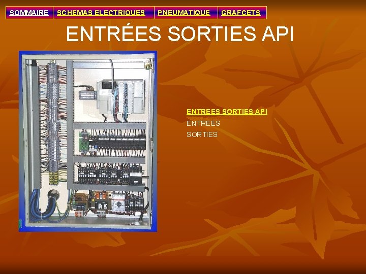 SOMMAIRE SCHEMAS ELECTRIQUES PNEUMATIQUE GRAFCETS ENTRÉES SORTIES API ENTREES SORTIES 