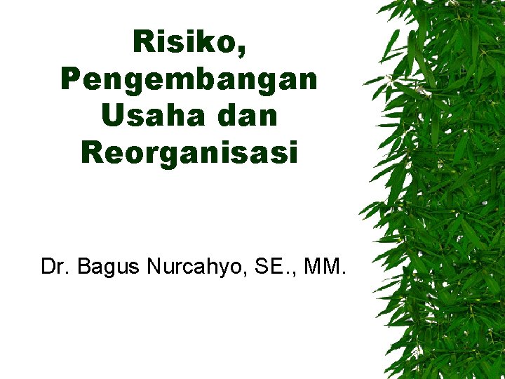 Risiko, Pengembangan Usaha dan Reorganisasi Dr. Bagus Nurcahyo, SE. , MM. 