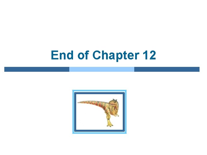 End of Chapter 12 