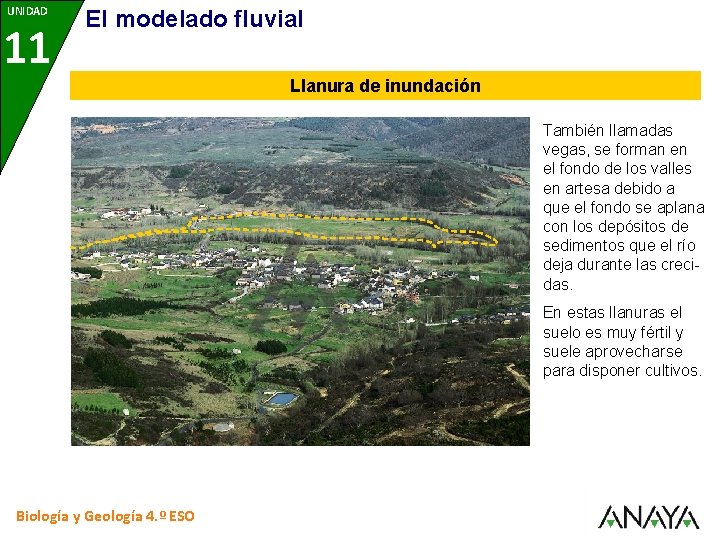 UNIDAD 11 8 El modelado fluvial Llanura de inundación También llamadas vegas, se forman