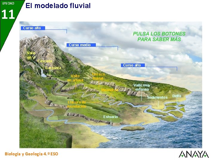 UNIDAD 11 El modelado fluvial Curso alto PULSA LOS BOTONES PARA SABER MÁS Curso