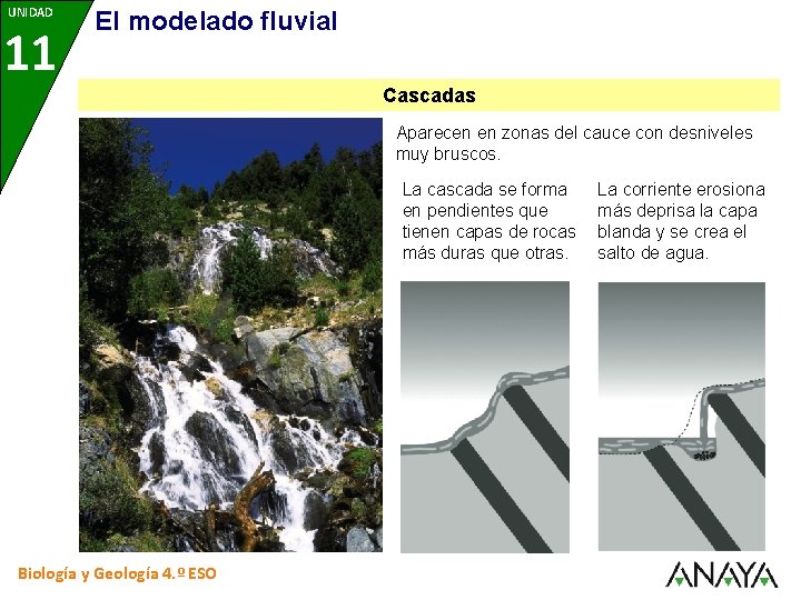 UNIDAD 11 El modelado fluvial Cascadas Aparecen en zonas del cauce con desniveles muy