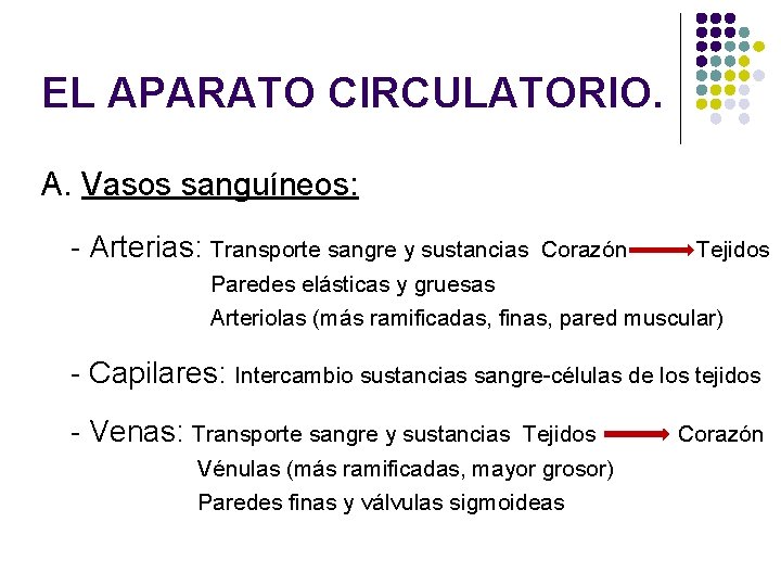 EL APARATO CIRCULATORIO. A. Vasos sanguíneos: - Arterias: Transporte sangre y sustancias Corazón Tejidos