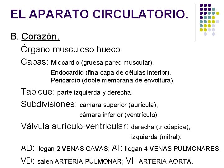 EL APARATO CIRCULATORIO. B. Corazón. Órgano musculoso hueco. Capas: Miocardio (gruesa pared muscular), Endocardio