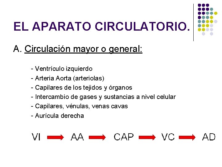 EL APARATO CIRCULATORIO. A. Circulación mayor o general: - Ventrículo izquierdo - Arteria Aorta