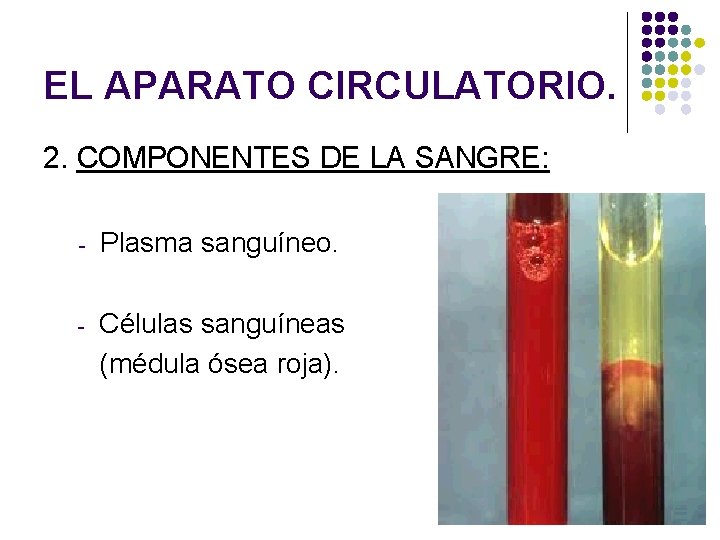 EL APARATO CIRCULATORIO. 2. COMPONENTES DE LA SANGRE: - Plasma sanguíneo. - Células sanguíneas