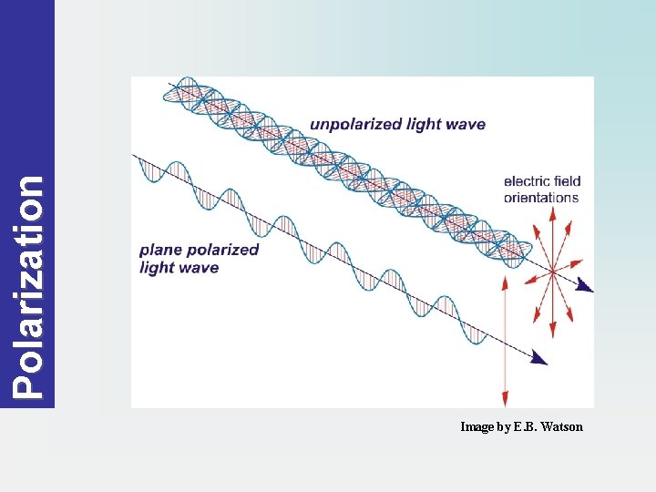 Polarization Image by E. B. Watson 