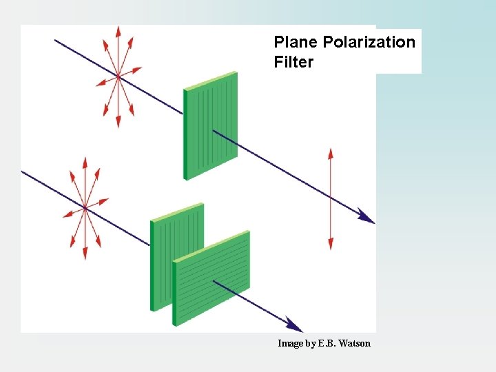 Plane Polarization Filter Image by E. B. Watson 