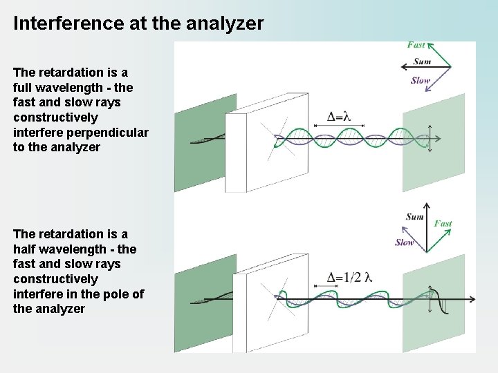 Interference at the analyzer The retardation is a full wavelength - the fast and