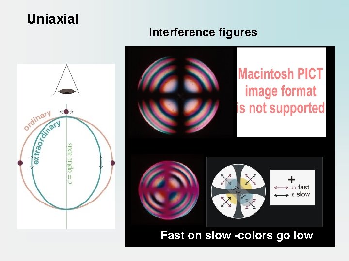 Uniaxial Interference figures Fast on slow -colors go low 