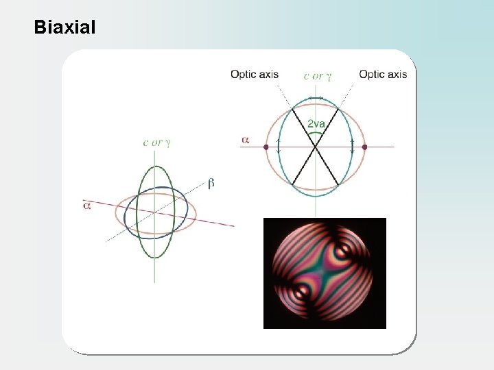 Biaxial 