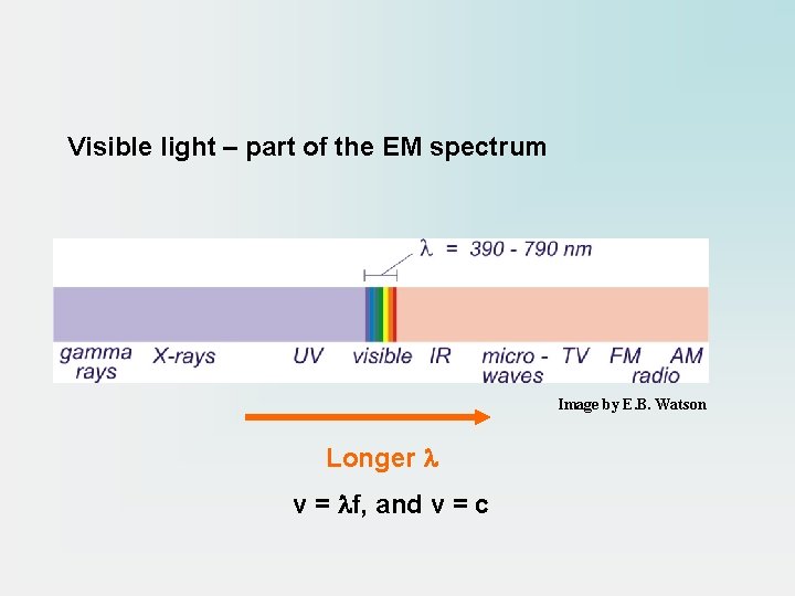 Visible light – part of the EM spectrum Image by E. B. Watson Longer