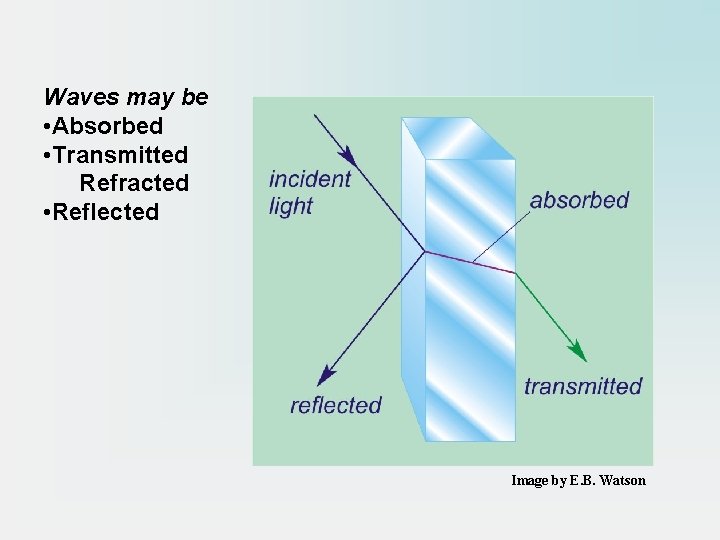 Waves may be • Absorbed • Transmitted Refracted • Reflected Image by E. B.