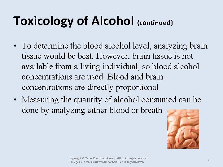 Toxicology of Alcohol (continued) • To determine the blood alcohol level, analyzing brain tissue