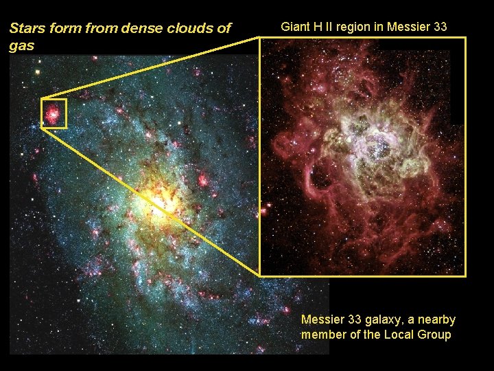 Stars form from dense clouds of gas Giant H II region in Messier 33
