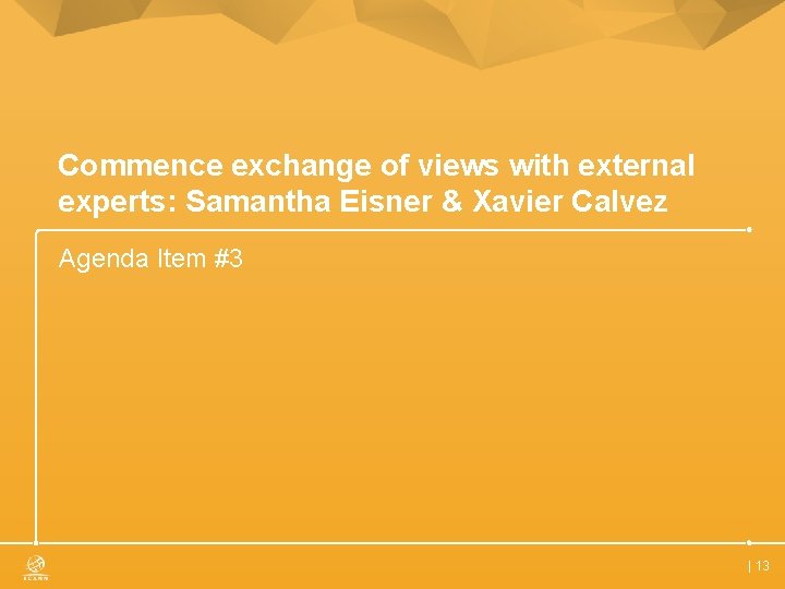 Commence exchange of views with external experts: Samantha Eisner & Xavier Calvez Agenda Item