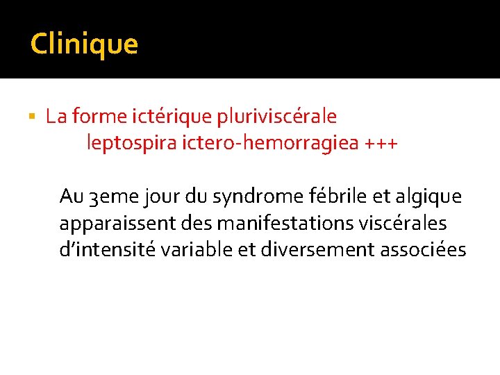 Clinique § La forme ictérique pluriviscérale leptospira ictero-hemorragiea +++ Au 3 eme jour du