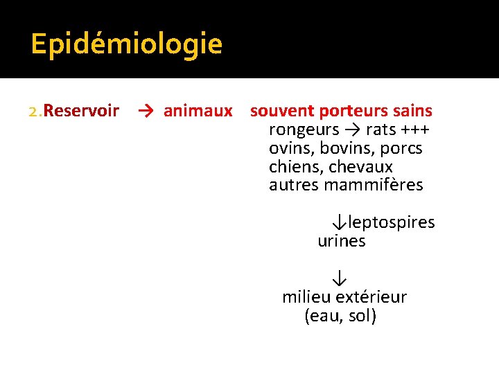 Epidémiologie 2. Reservoir → animaux souvent porteurs sains rongeurs → rats +++ ovins, bovins,