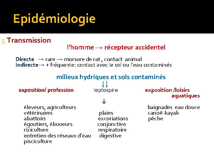 Epidémiologie 3. Transmission l’homme → récepteur accidentel Directe → rare → morsure de rat