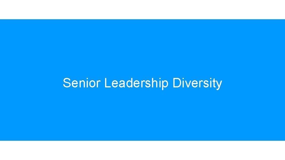 Senior Leadership Diversity Senior Leadership Diversity