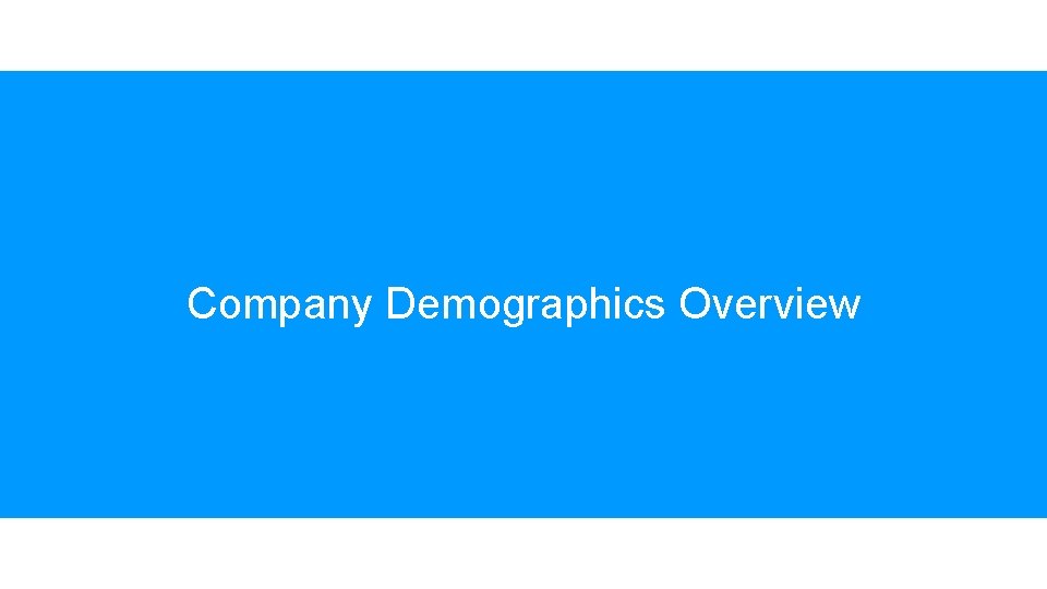 Company Demographics Overview Company Demographics Overview
