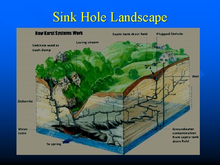 Sink Hole Landscape 