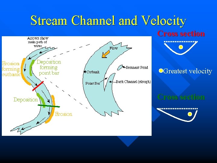 Stream Channel and Velocity Cross section Greatest velocity Cross section 