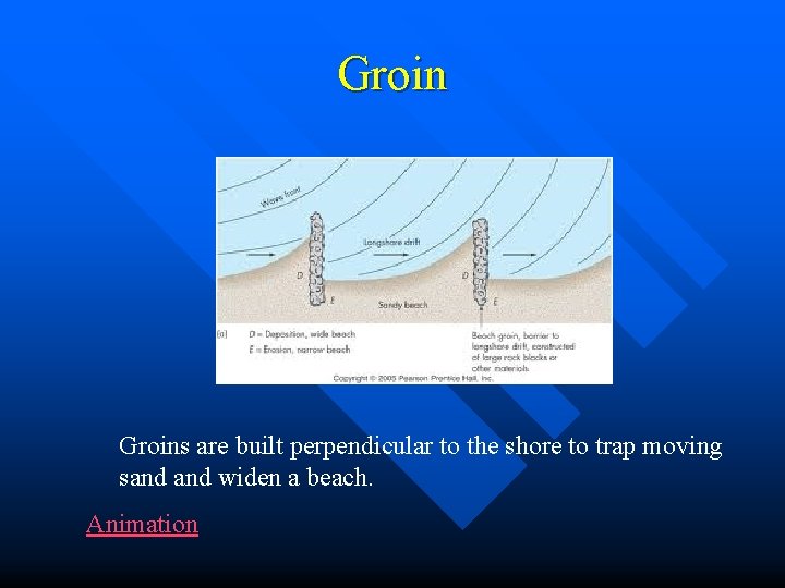 Groins are built perpendicular to the shore to trap moving sand widen a beach.