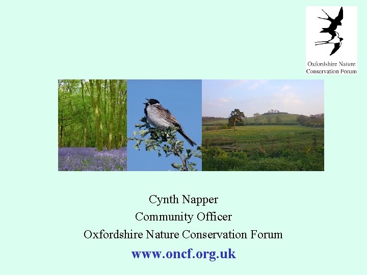 Cynth Napper Community Officer Oxfordshire Nature Conservation Forum www. oncf. org. uk 