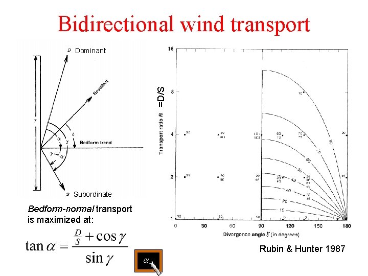 Bidirectional wind transport =D/S Dominant Subordinate Bedform-normal transport is maximized at: a Rubin & Bidirectional wind transport =D/S Dominant Subordinate Bedform-normal transport is maximized at: a Rubin &