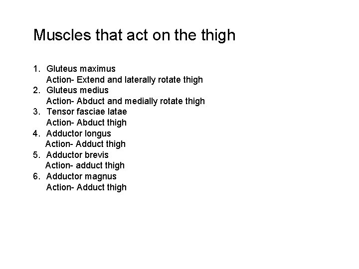 Muscles that act on the thigh 1. Gluteus maximus Action- Extend and laterally rotate