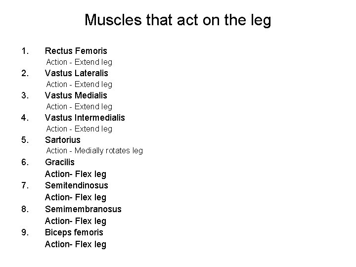 Muscles that act on the leg 1. Rectus Femoris Action - Extend leg 2.