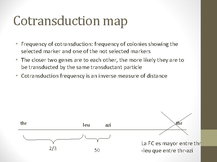 Chromosome mapping in bacteria Bacterial colonies each derived