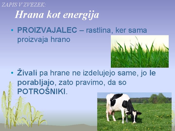 ZAPIS V ZVEZEK: Hrana kot energija • PROIZVAJALEC – rastlina, ker sama proizvaja hrano