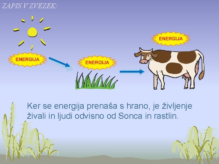 ZAPIS V ZVEZEK: Ker se energija prenaša s hrano, je življenje živali in ljudi