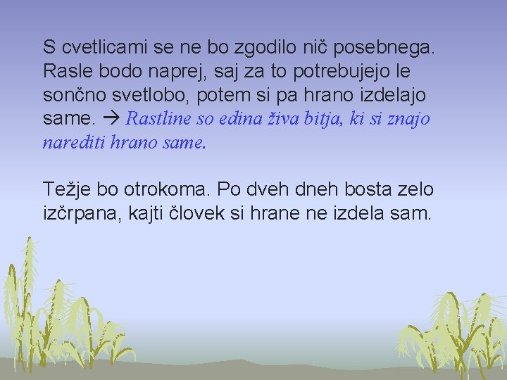 S cvetlicami se ne bo zgodilo nič posebnega. Rasle bodo naprej, saj za to