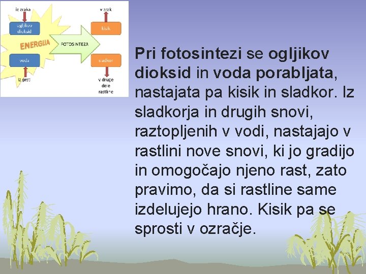  • Pri fotosintezi se ogljikov dioksid in voda porabljata, nastajata pa kisik in