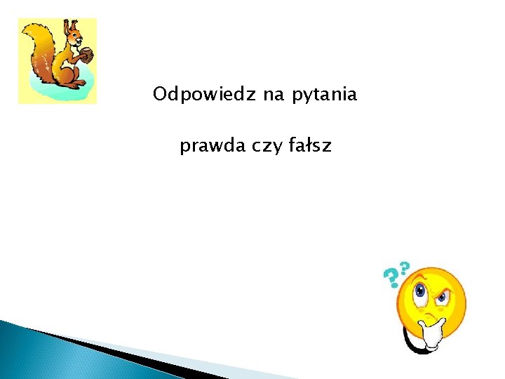 Quiz Odpowiedz na pytania prawda czy fałsz 