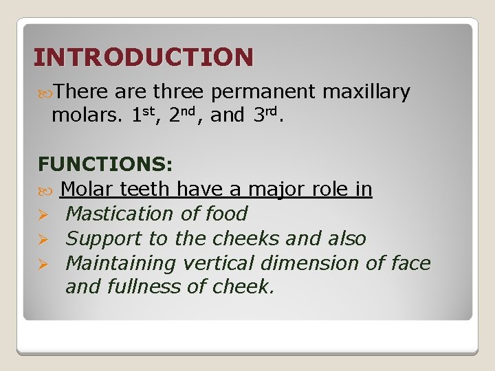 INTRODUCTION There are three permanent maxillary molars. 1 st, 2 nd, and 3 rd.