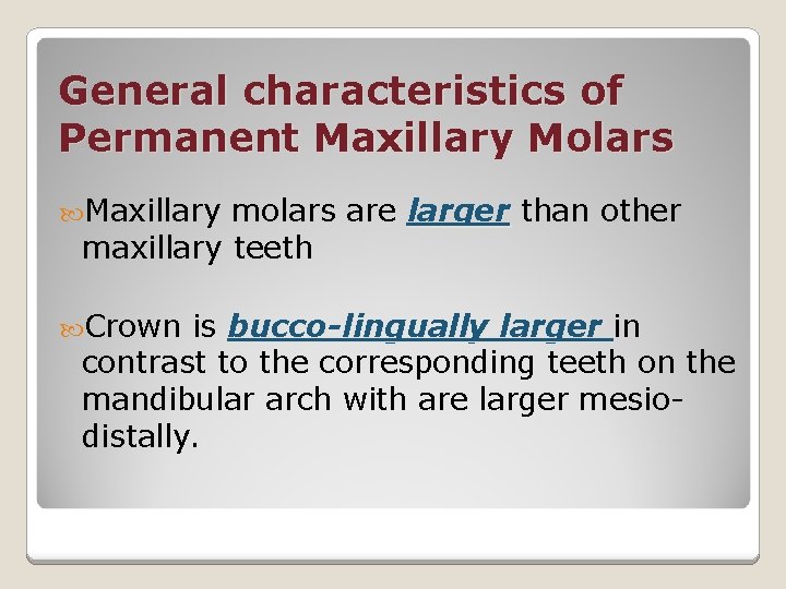 General characteristics of Permanent Maxillary Molars Maxillary molars are larger than other larger maxillary